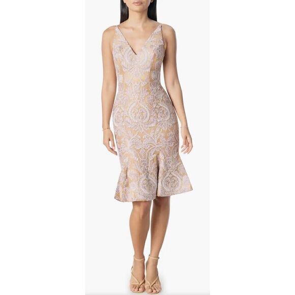 Dress the Poplulation Isabelle Lace Mermaid Dress in Blush Multi NWOT Size Mediu - Picture 1 of 7